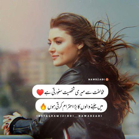 Attitude Quotes image