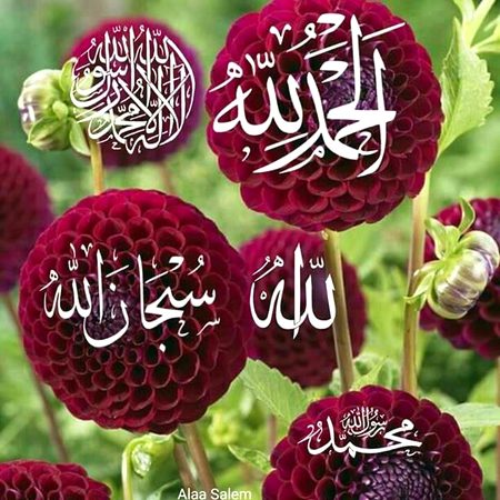 Islamic Quotes image