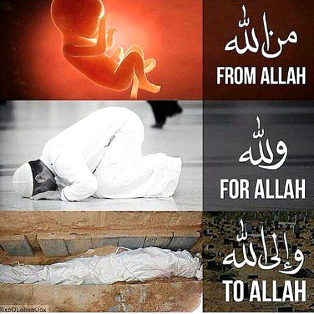 Islamic Quotes image