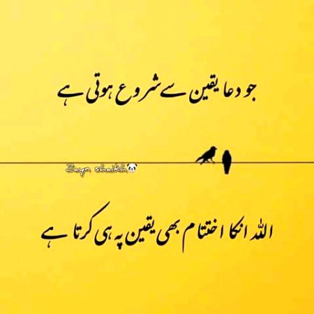 Islamic Quotes image