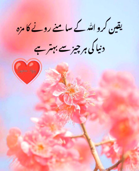 Islamic Quotes image