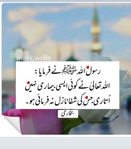 Islamic Quotes image