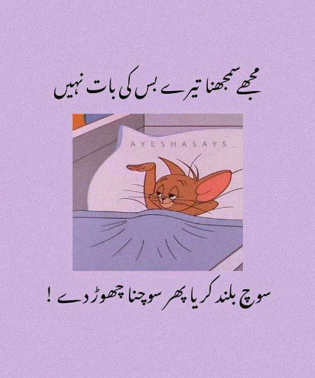 Attitude Quotes image