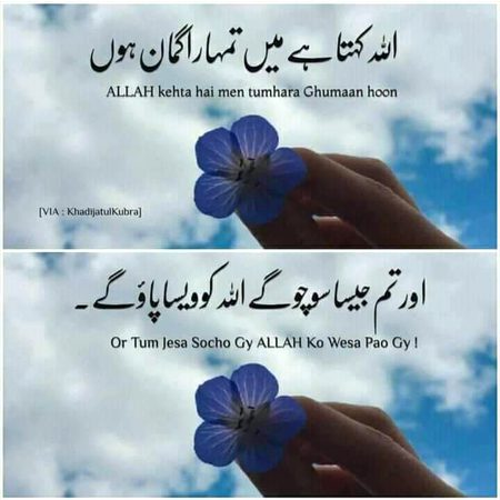 Islamic Quotes image