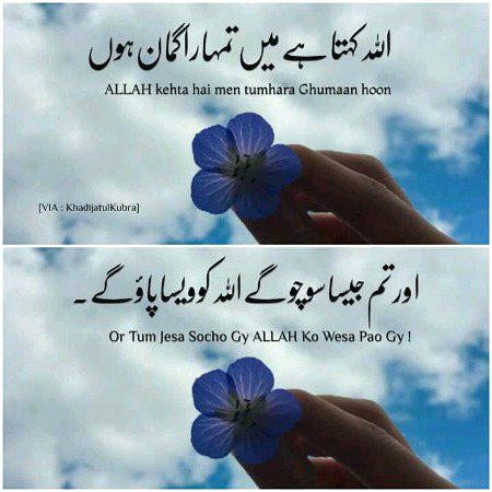 Islamic Quotes image