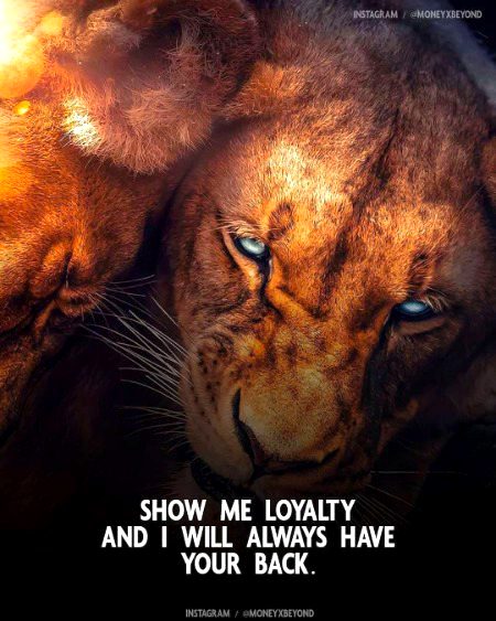 Attitude Quotes image