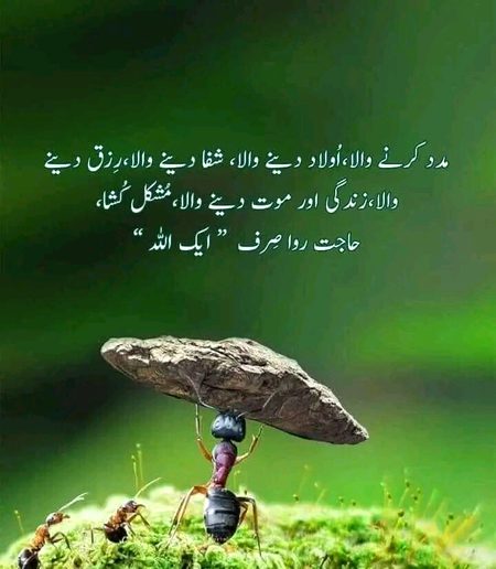 Islamic Quotes image