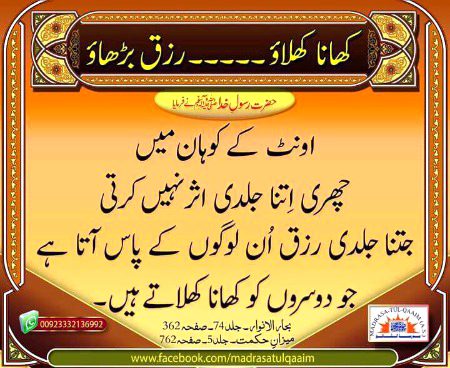 Islamic Quotes image