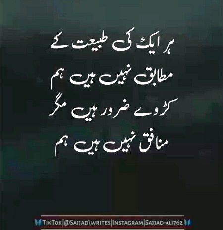 Attitude Poetry image