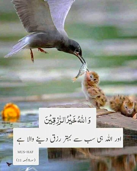 Islamic Quotes image