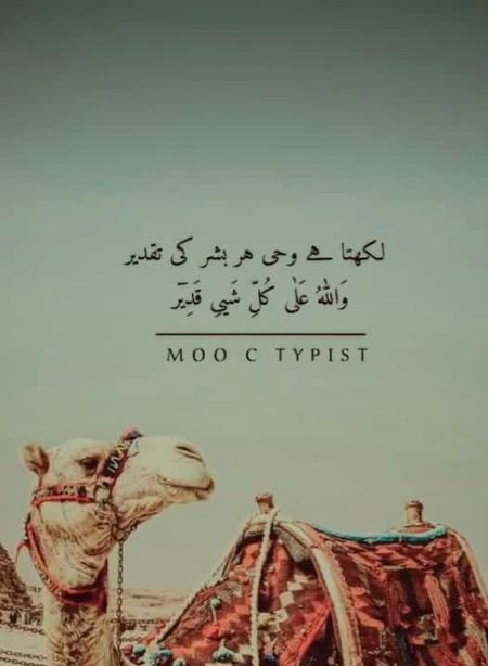 Islamic Quotes image