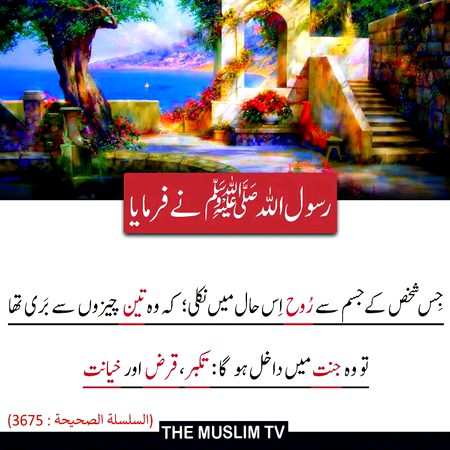 Islamic Quotes image