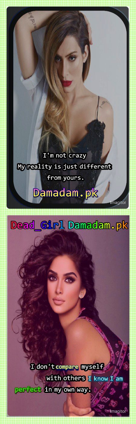 Attitude Quotes image