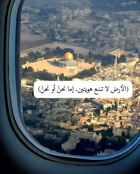 Beautiful Structures image