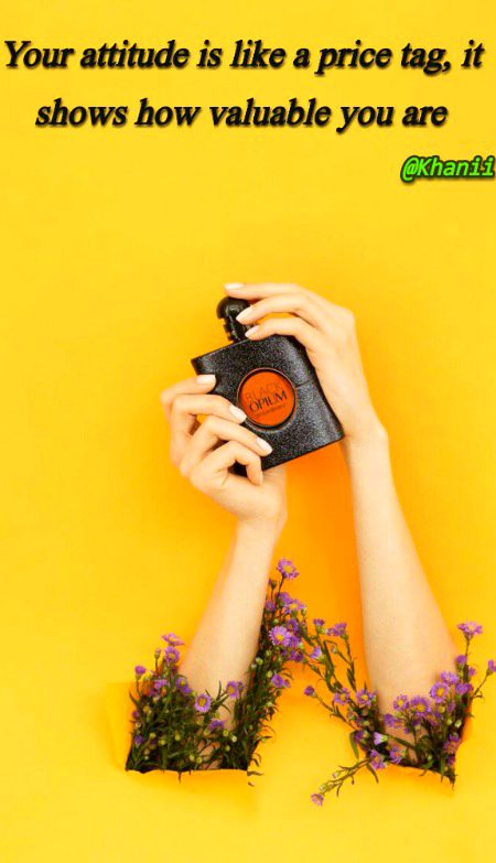 Attitude Quotes image