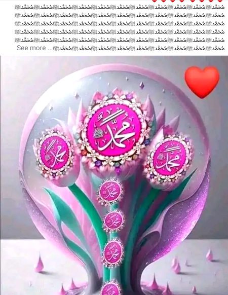 Islamic Quotes image