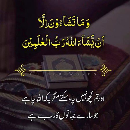 Islamic Quotes image