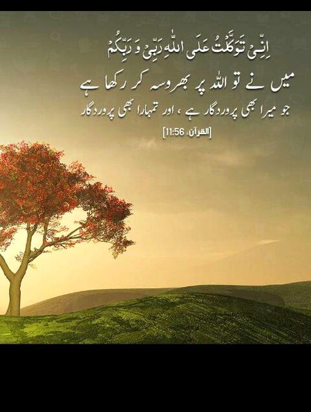 Islamic Quotes image