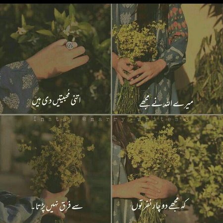 Islamic Quotes image