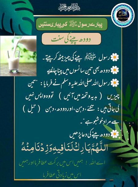 Islamic Quotes image