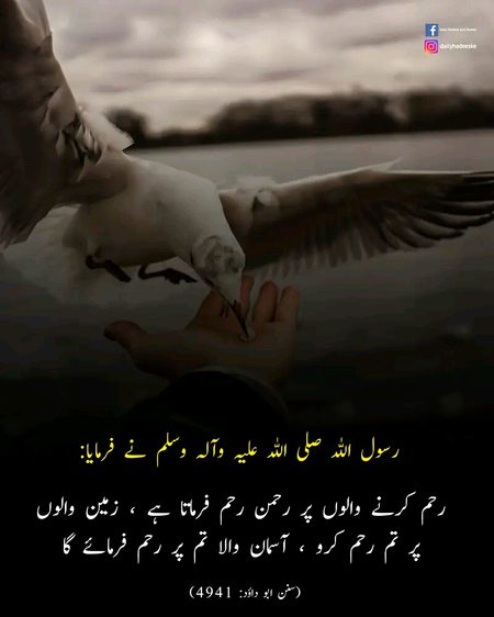 Islamic Quotes image