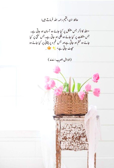 Islamic Quotes image