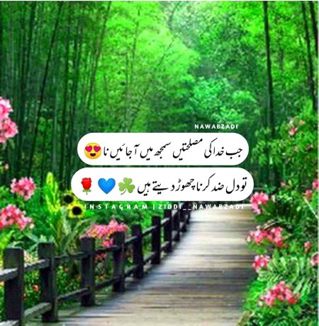 Islamic Quotes image