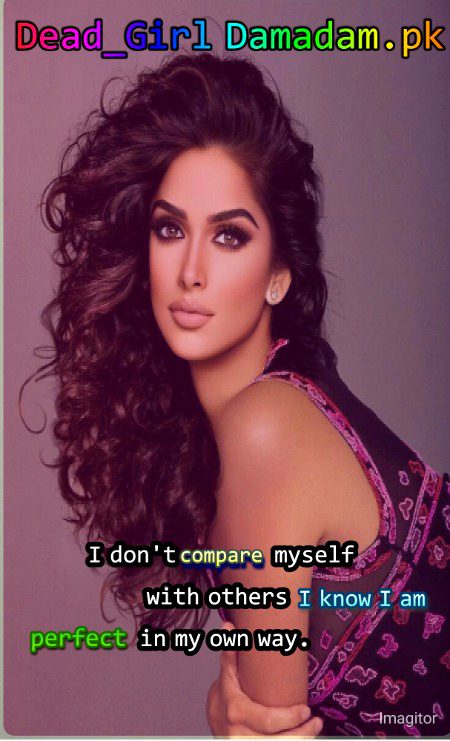 Attitude Quotes image