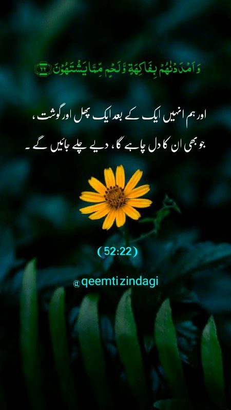 Islamic Quotes image