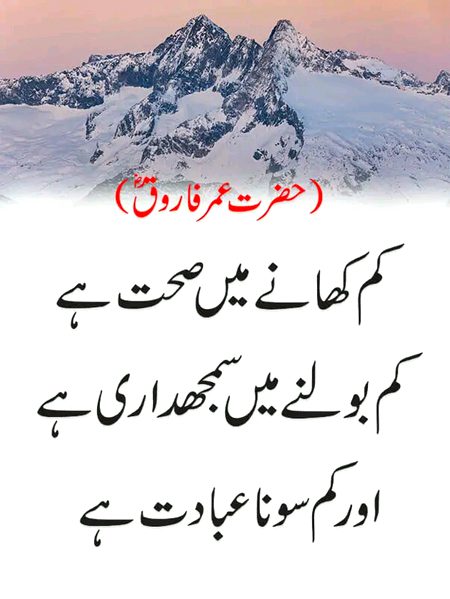 Islamic Quotes image