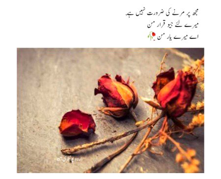 Romantic Poetry image