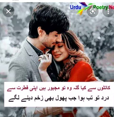 Romantic Poetry image