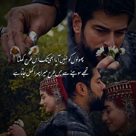 Romantic Poetry image