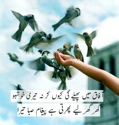 Romantic Poetry image