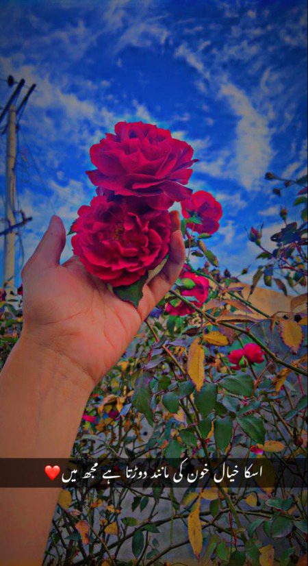 Romantic Poetry image