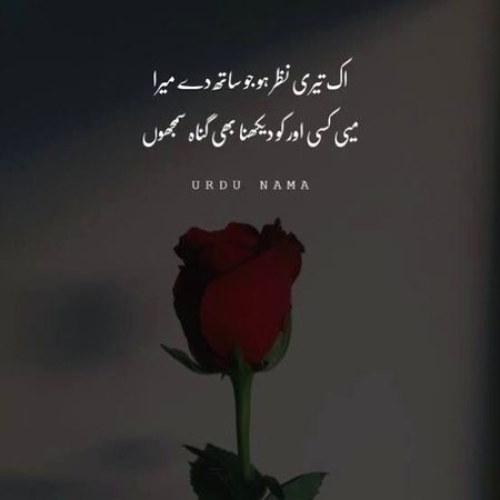 Romantic Poetry image