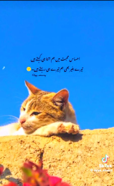 Romantic Poetry image