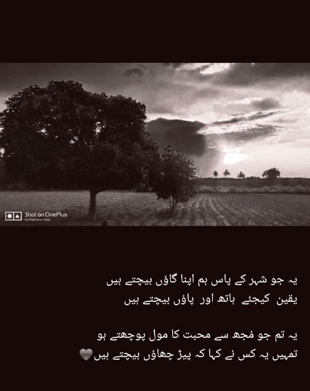 Sad Poetry image