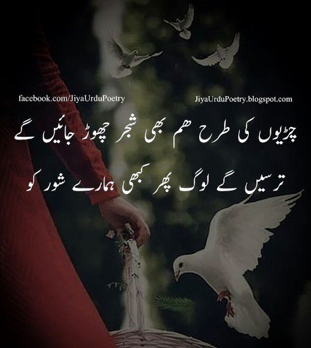 Attitude Poetry image