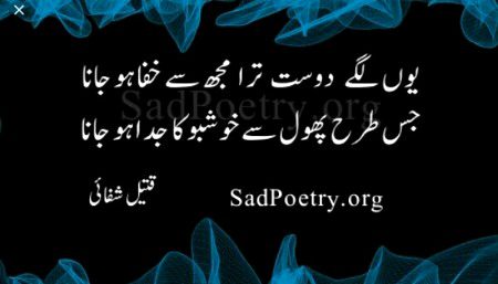 Sad Poetry image