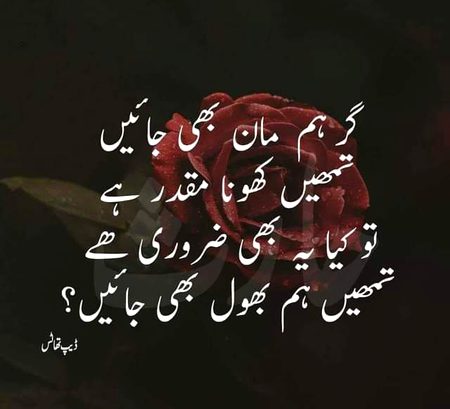 Sad Poetry image