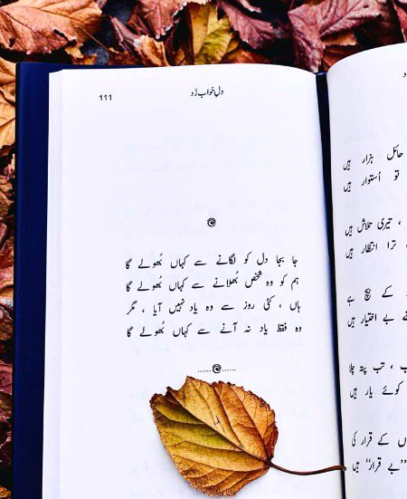 Sad Poetry image
