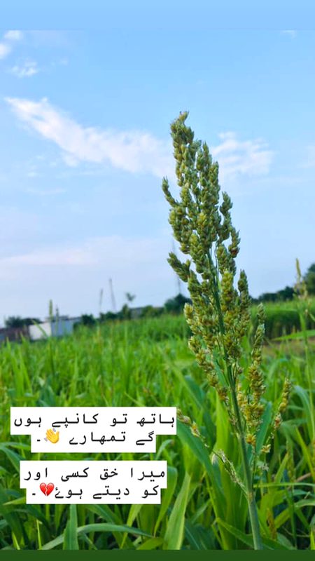 Sad Poetry image