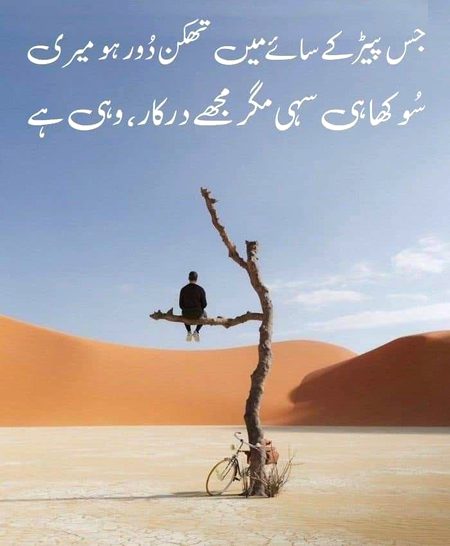 Sad Poetry image