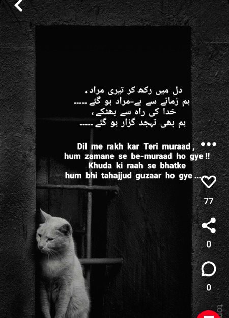 Sad Poetry image