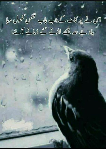 Sad Poetry image