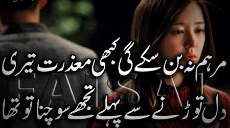 Sad Poetry image