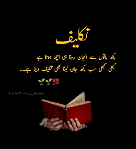 Sad Poetry image