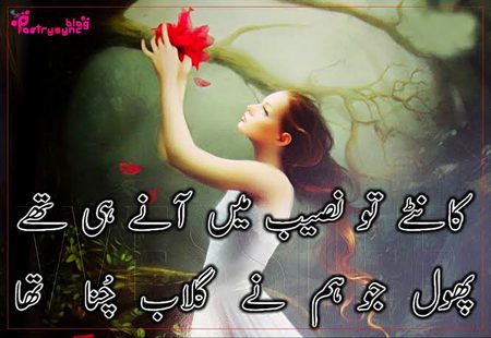 Sad Poetry image