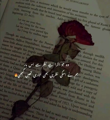 Sad Poetry image